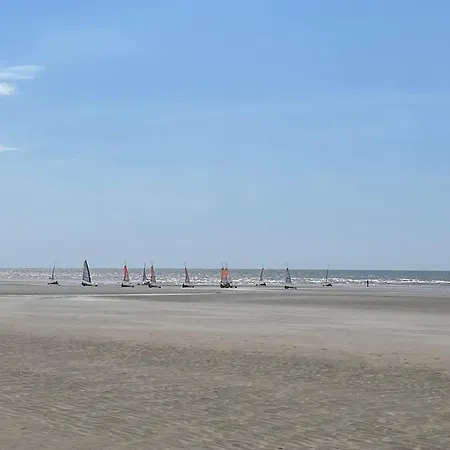 Superbe Avec Vue Sur La Foret Du Touquet Les Dunes